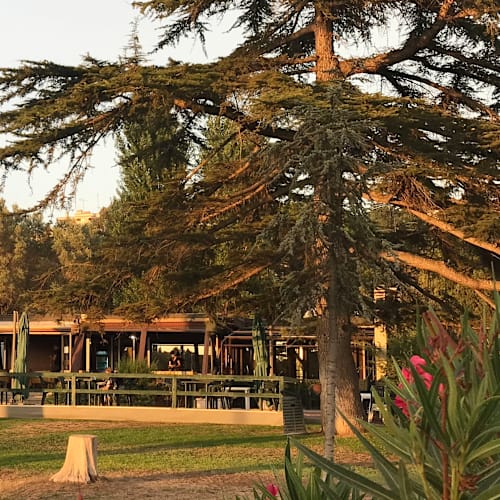 Ferratella Ristorante Pizzeria, Roma