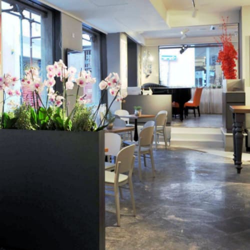 Il Margutta vegetarian food & art, Roma
