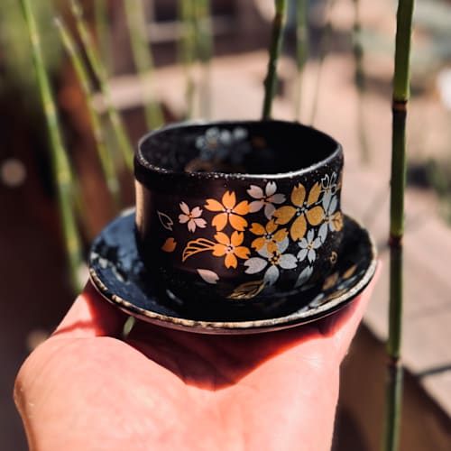 Kitsuné & Tanuki, Colmar