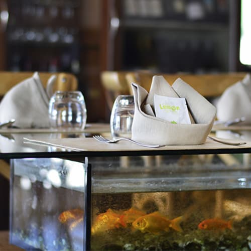 Il Peschereccio - Osteria Marina , Marina di Pisa