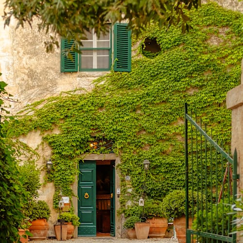 Il Ristorante di Antica Fattoria La Parrina, Orbetello