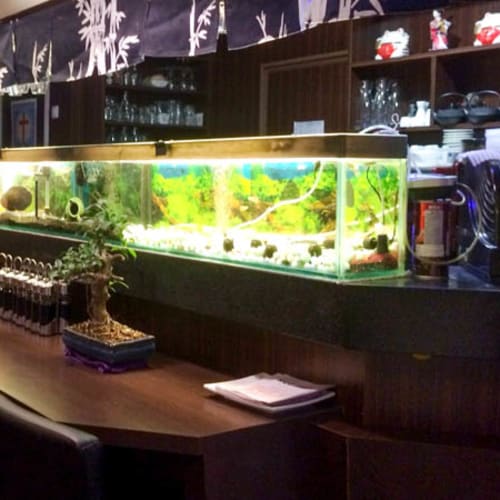 Koï, Paris