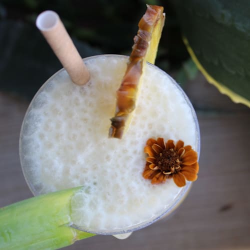 Restaurant les Sirenes, Le Lavandou