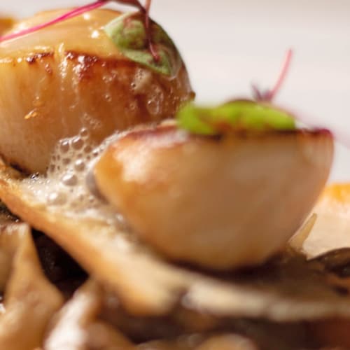 Les Présidents - Domaine de Divonne, Divonne-les-Bains