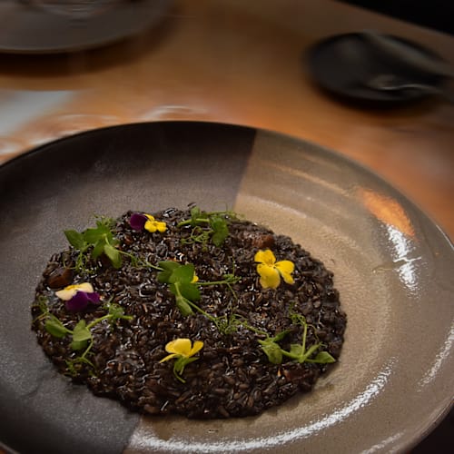 La Piazza Zone, Venezia