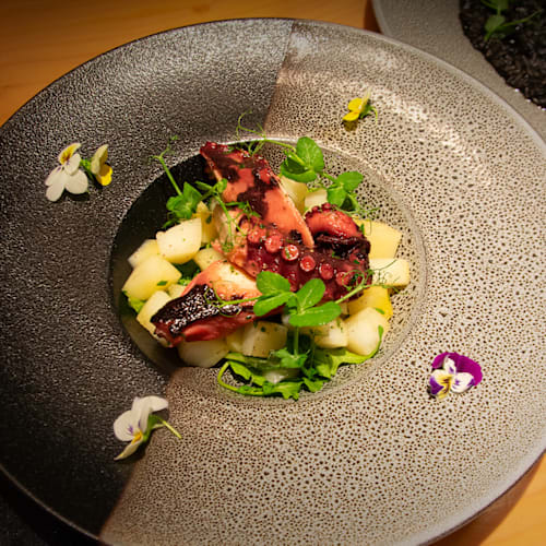 La Piazza Zone, Venezia