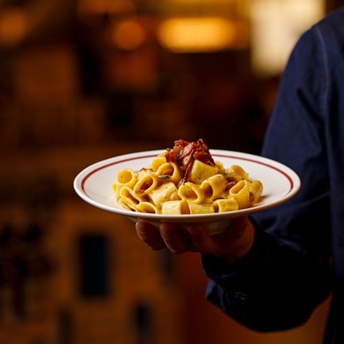 Signorvino - Curno, Curno