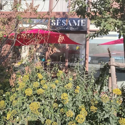 Sésame, Montpellier