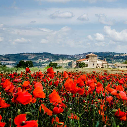 La Torretta Baronale, San Giorgio Del Sannio