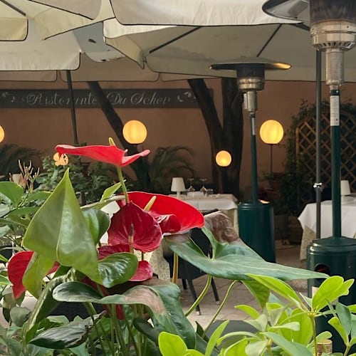 Du Schei, Verona
