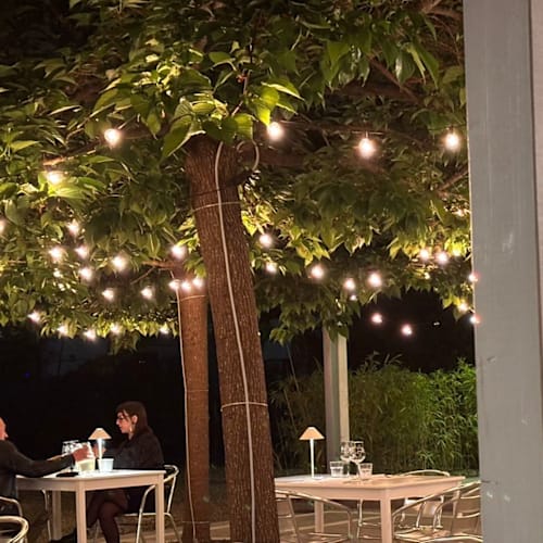 Il giardino delle delizie, Marina di Massa