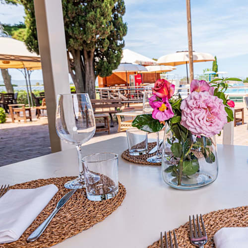 Vitello D'Oro, Piombino