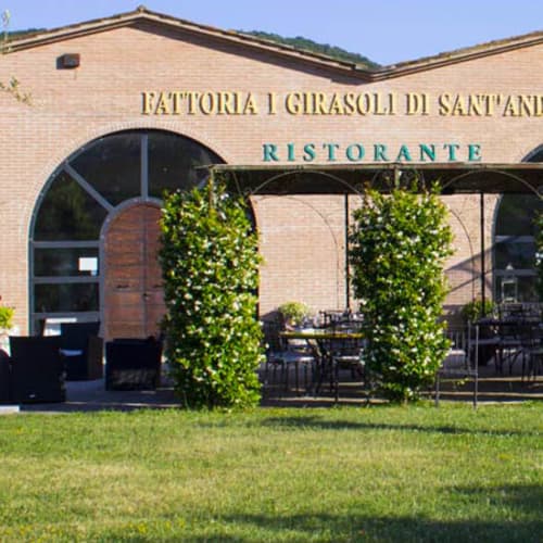 I Girasoli di Sant'Andrea, Umbertide
