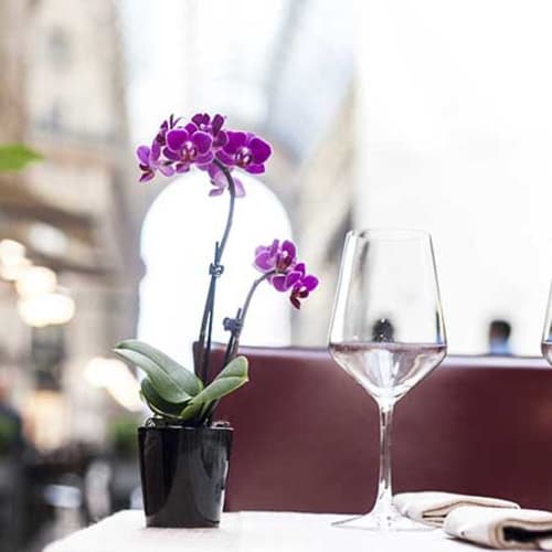 Il Salotto di Milano, Milano