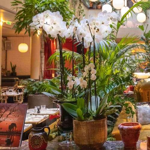 Alcazar Restaurant, Paris