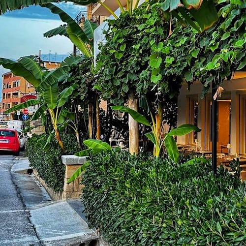 Aru Sushi, Tropea