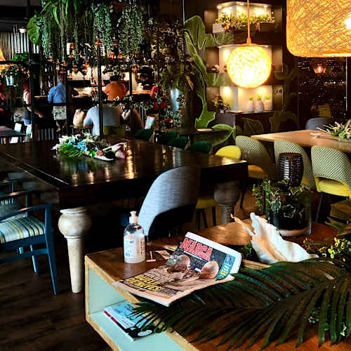 Eneldo, San Martin De Valdeiglesias