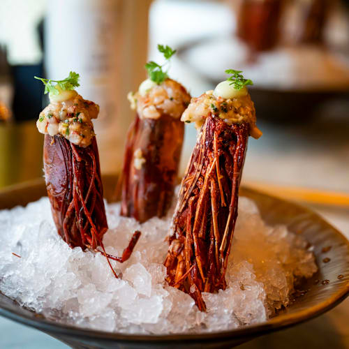 Tesoro de Lucie, Eindhoven