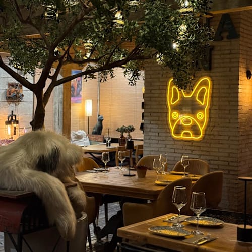 La Bonita Madrid - Calle Rosario Pino, Madrid