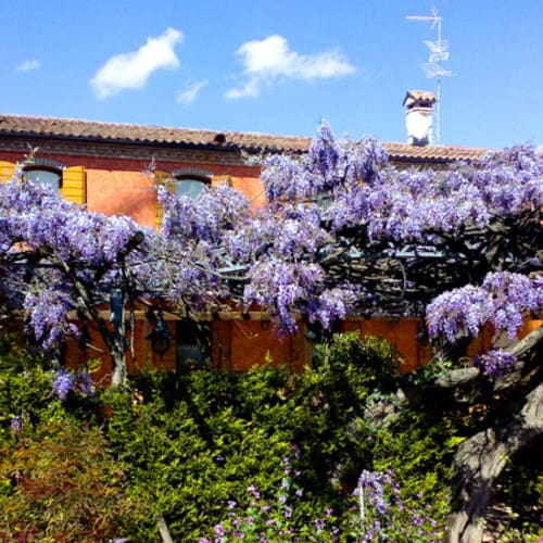 Antica Trattoria Antenore, Torreglia