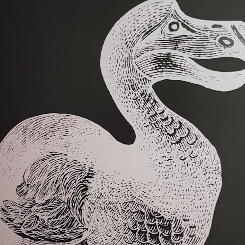 Le Dodo Blanc - Avignon / Les Angles, Les Angles