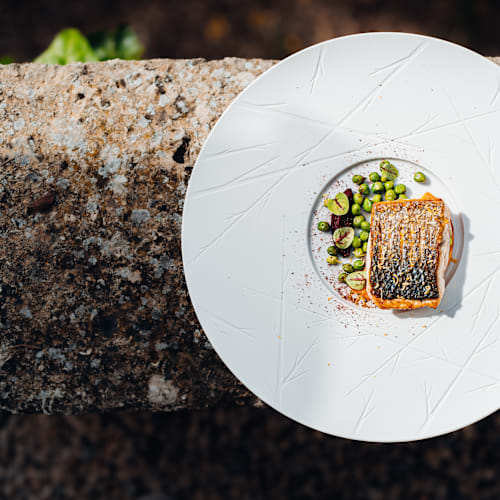 L'Hostellerie du Château des Fines Roches, Châteauneuf-du-Pape