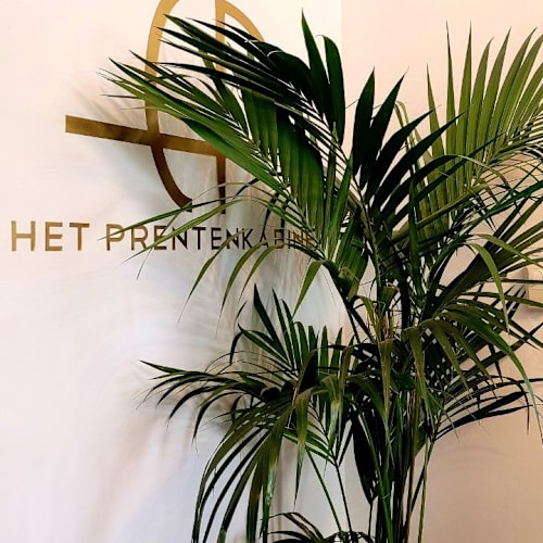 Het Prentenkabinet, Leiden