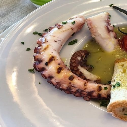 Piccola Stella, Cecina