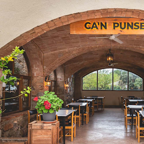 Ca'n Punset, Terradas