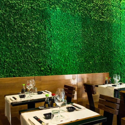 Daruma Restaurant - Ponte Milvio, Roma