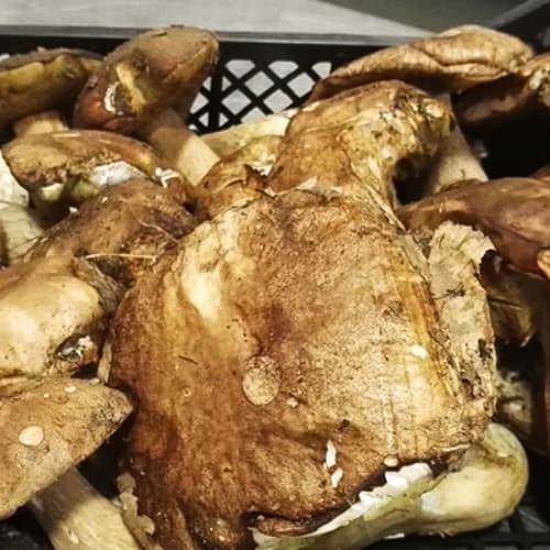 Osteria Sotto Le Logge, Montepescali, Grosseto