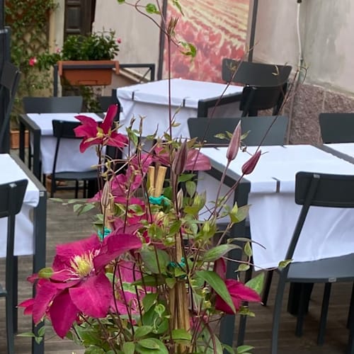 La Buca del Norcino, Montecarlo