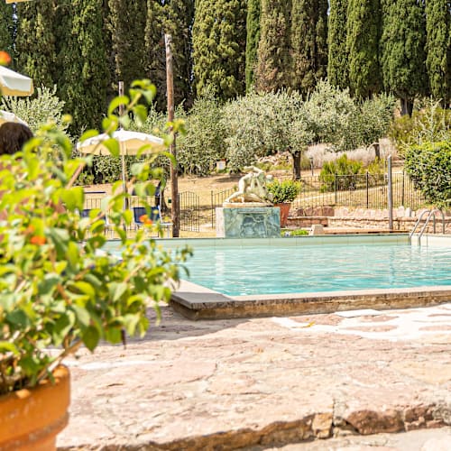 Tenuta La Bandita, Sassetta