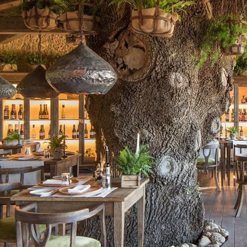 Trattoria Sull’Albero, Palazzetto