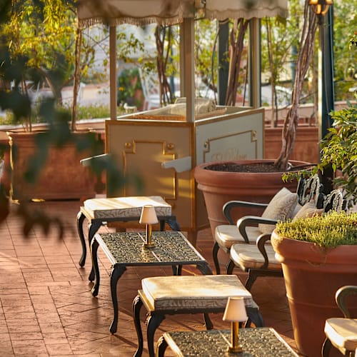 Rooftop Garden - El Palace Barcelona, Barcelona