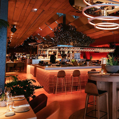 Tierra Brava, Barcelona