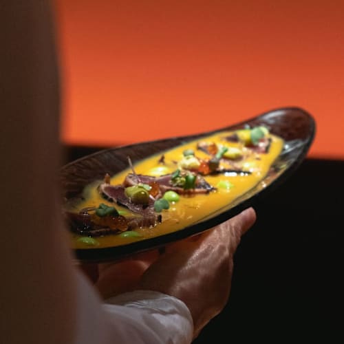 Tierra Brava, Barcelona