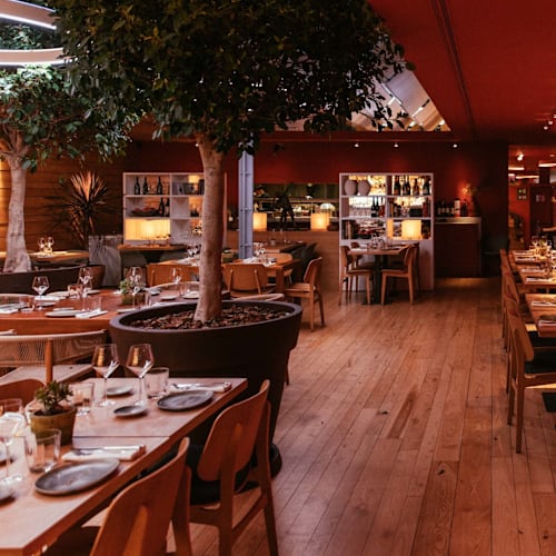 Tierra Brava, Barcelona