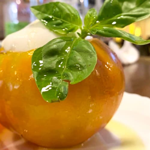 Mawi pub & restaurant, Roma