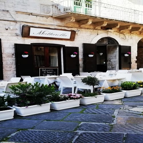 Mattarella, Giovinazzo