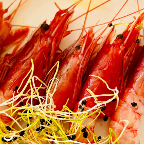 L'Angolo delle Meduse, Fiumicino