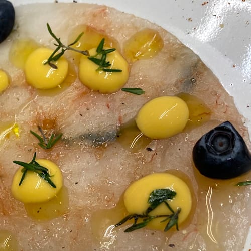 L'Angolo delle Meduse, Fiumicino