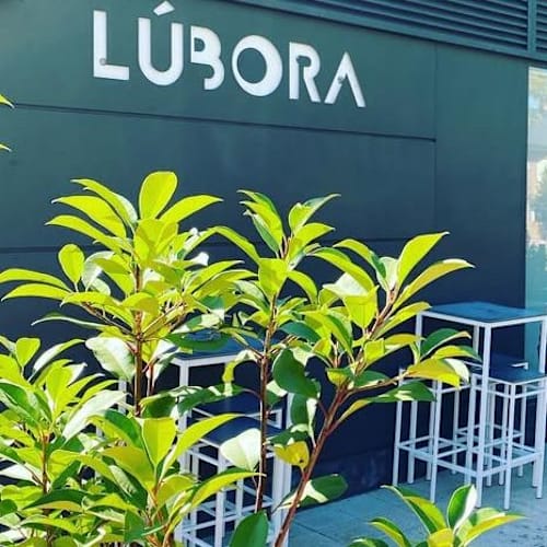 Lúbora, Boadilla del Monte