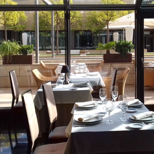 Oro negro - Hotel Nelva, Murcia