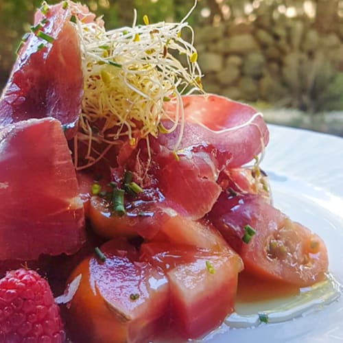 El Nou Cal Cateri, Pi