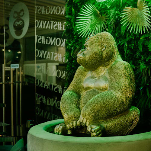 KONG EXPERIENCE, Salerno