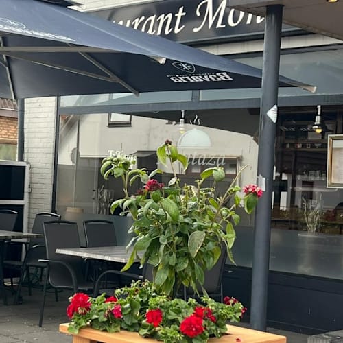Montaza, Renkum