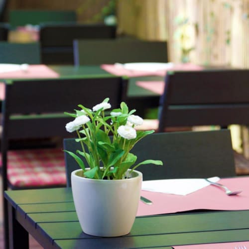 Turkoise - Turks specialiteitenrestaurant Eindhoven, Eindhoven