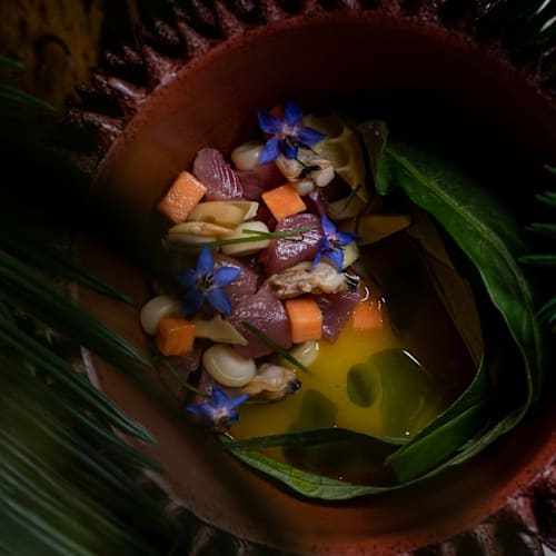 Azotea, Torino