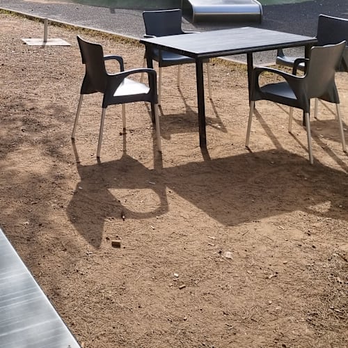 El Quinto Pino - Pinar el Grao, El Grao de Castellón